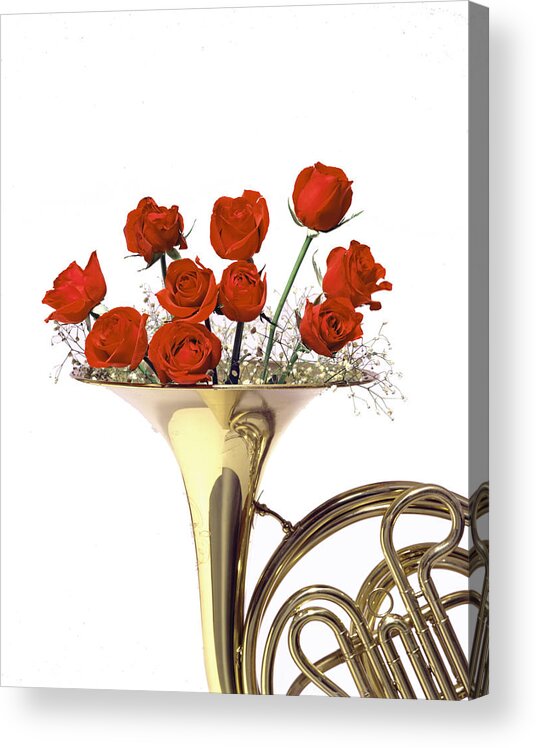 Wall Art Acrylic Print featuring the photograph The Sight of Music by Steven Huszar