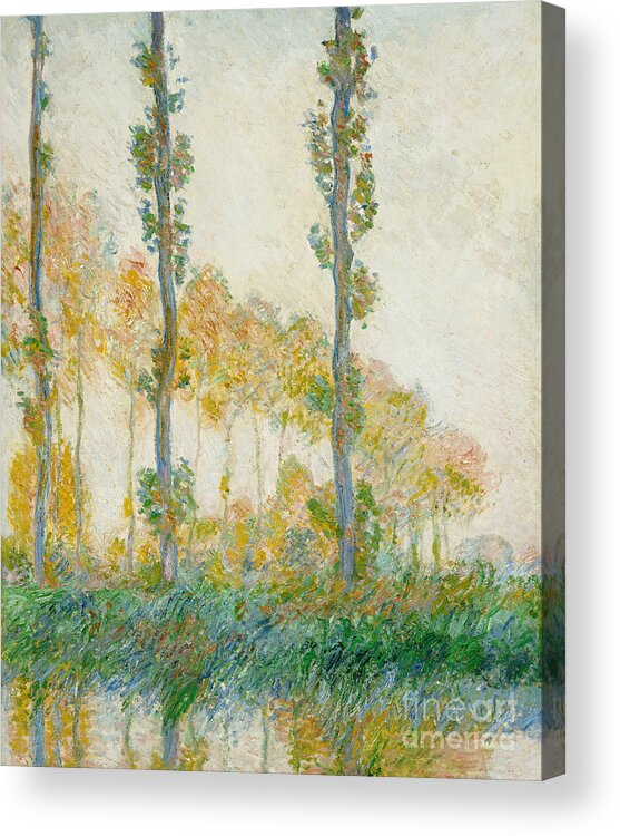Impressionism; Impressionist; Landscape; River Acrylic Print featuring the painting The Three Trees, Autumn, 1891 C Monet by Claude Monet