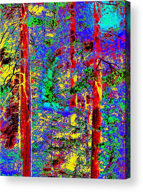 Oak Creek Canyon Acrylic Print featuring the digital art Three Trees of Oak Creek Canyon II by Joe Hoover