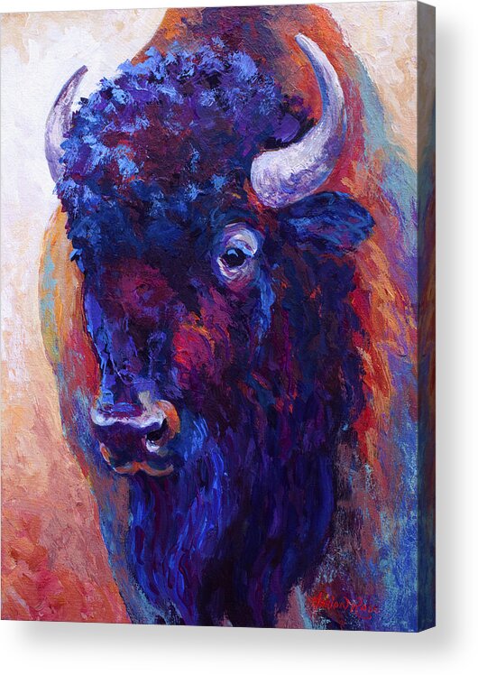 Bison Acrylic Print featuring the painting Thunder Horse by Marion Rose