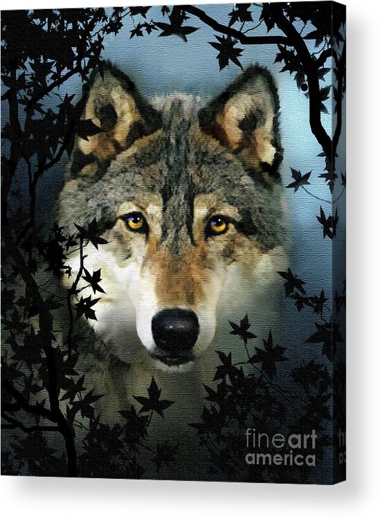 Wolf Acrylic Print featuring the painting Timber Wolf by Robert Foster