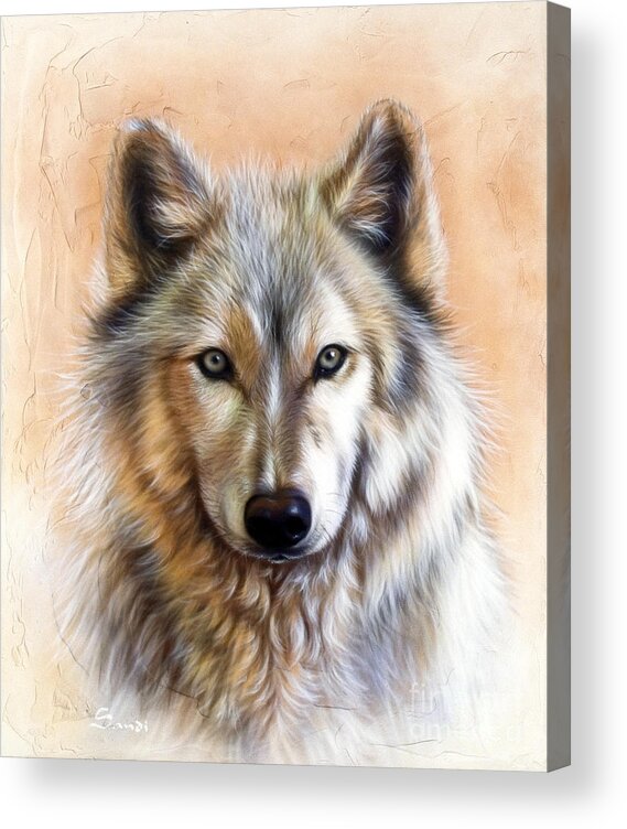 Wolves Acrylic Print featuring the painting Trace Two by Sandi Baker