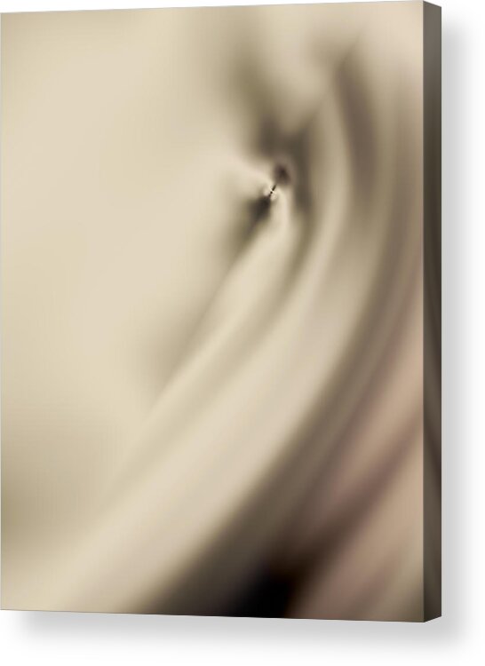 Vic Eberly Acrylic Print featuring the digital art Tranquility by Vic Eberly