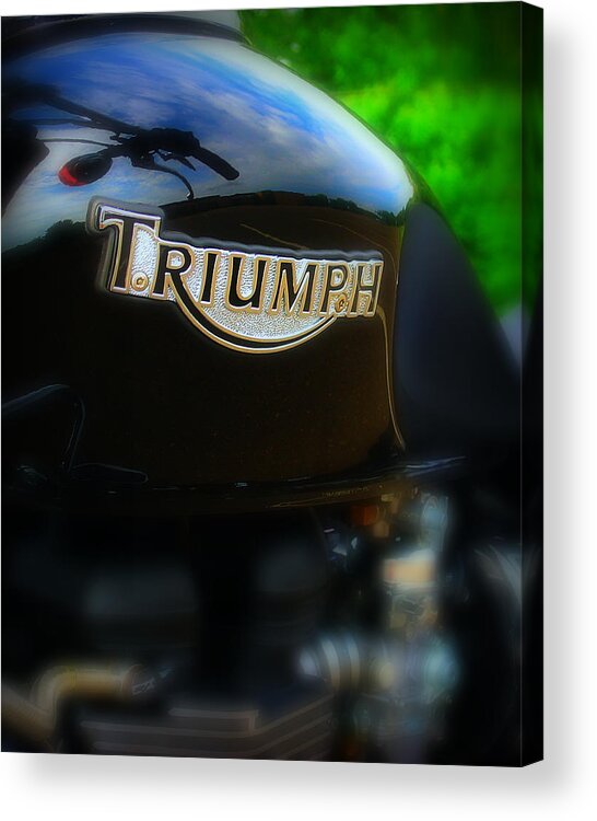 Triumph Acrylic Print featuring the photograph Triumph by Perry Webster