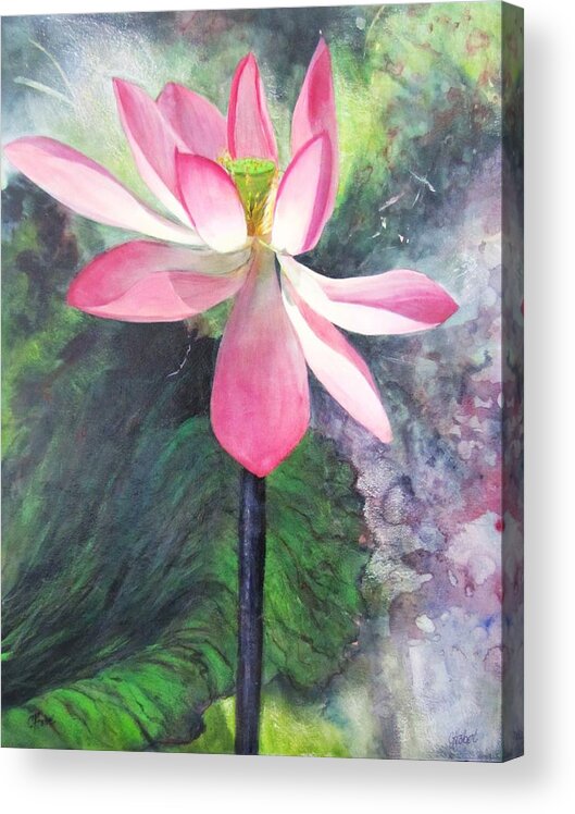 Pink Acrylic Print featuring the painting Tropical Water Lily Painting by Chris Hobel