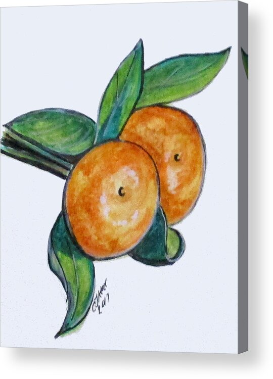 Water Color Acrylic Print featuring the painting Two Oranges by Clyde J Kell