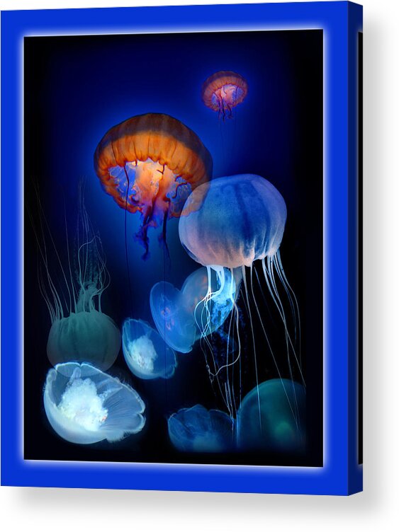 Jellies Acrylic Print featuring the photograph Undersea Dream by Linda Olsen