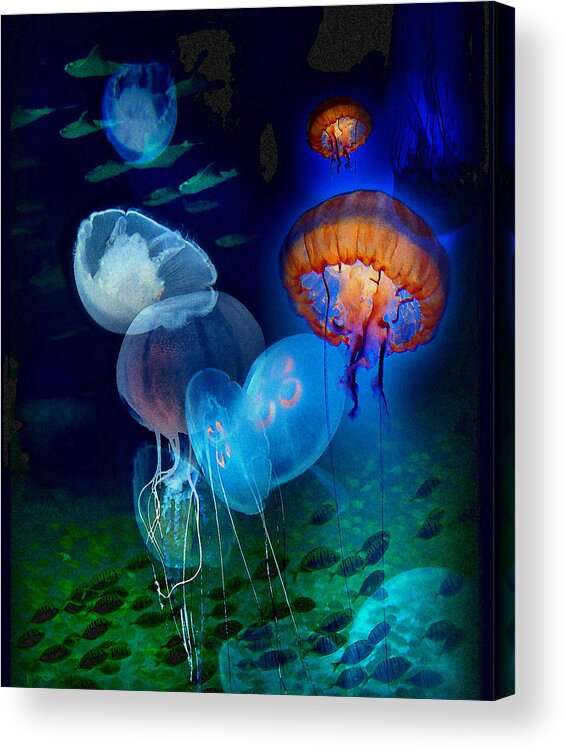 Jellies Acrylic Print featuring the photograph Undersea Fantasy by Linda Olsen