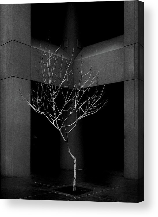 Building Acrylic Print featuring the photograph Urban Nature in B/W by Joseph Smith