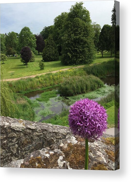 Ireland Acrylic Print featuring the photograph View from Blarney Castle by Sue Morris