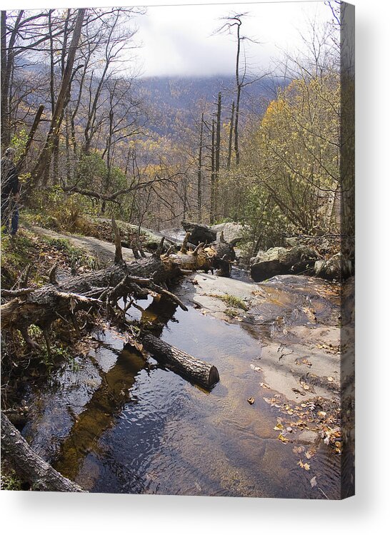 Falling Water Cascades Acrylic Print featuring the photograph View From the Top by Alan Raasch
