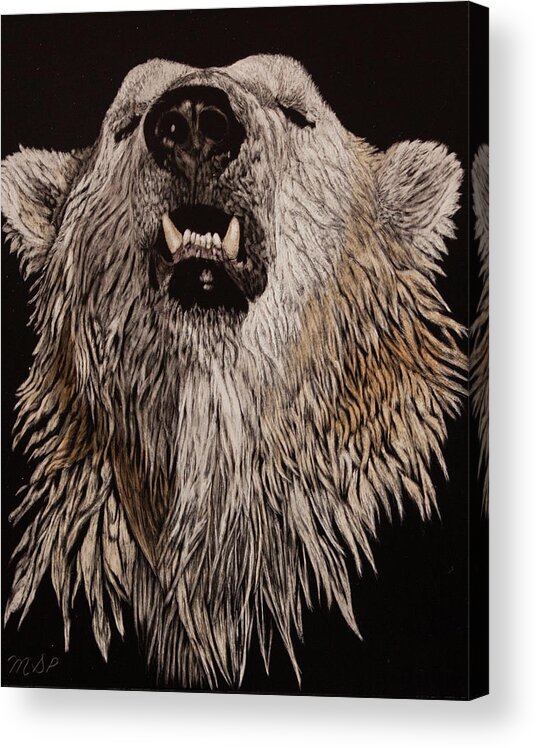Polar Bear Acrylic Print featuring the painting What Big Teeth by Margaret Sarah Pardy