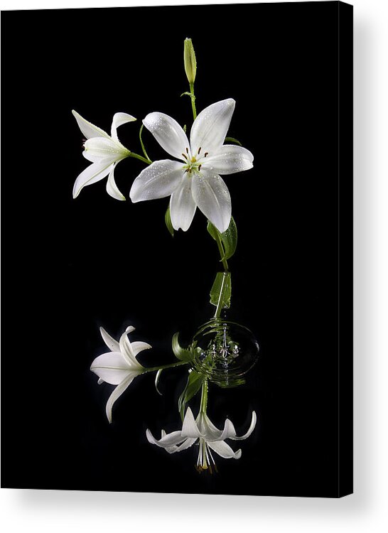 Lilly Acrylic Print featuring the photograph White Lilly with Reflection and water drop by Richard Steinberger