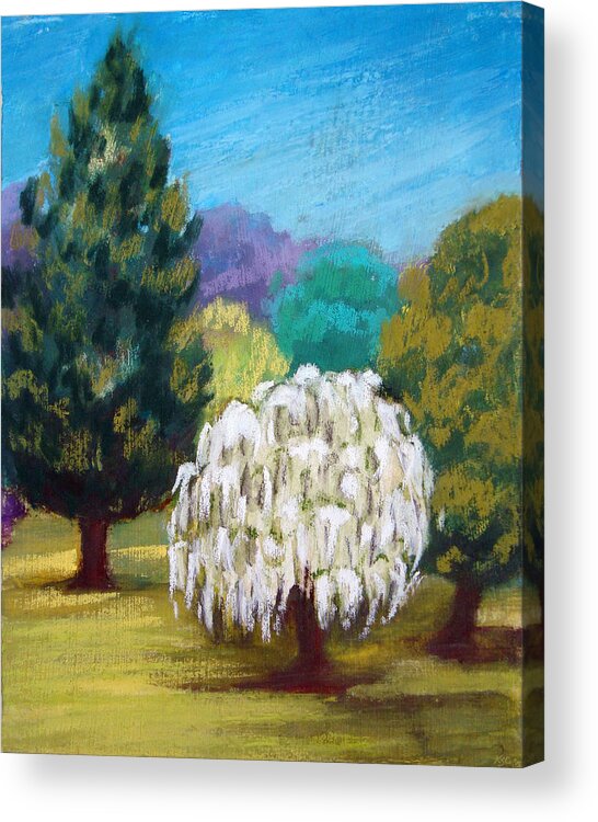 Landscape Acrylic Print featuring the pastel White Tree by Karen Coggeshall