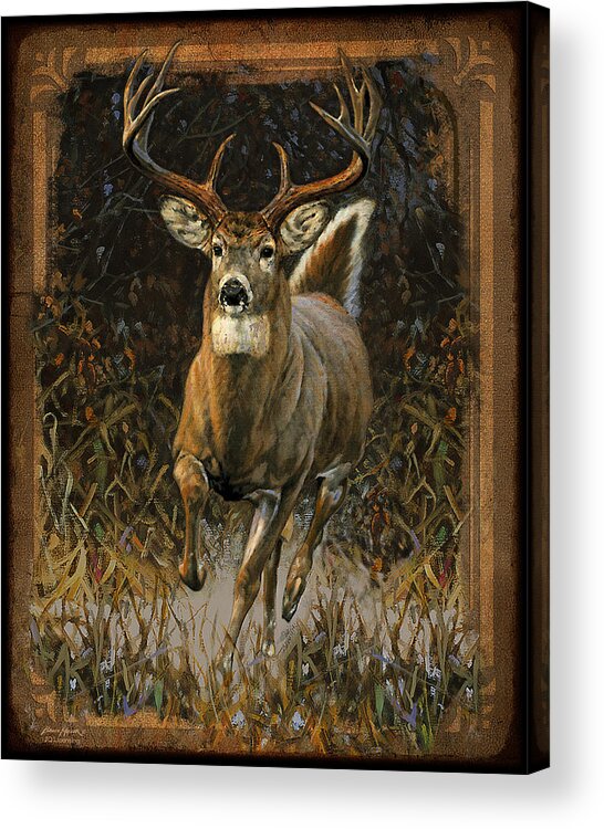 Bruce Miller Acrylic Print featuring the painting Whitetail Deer by JQ Licensing