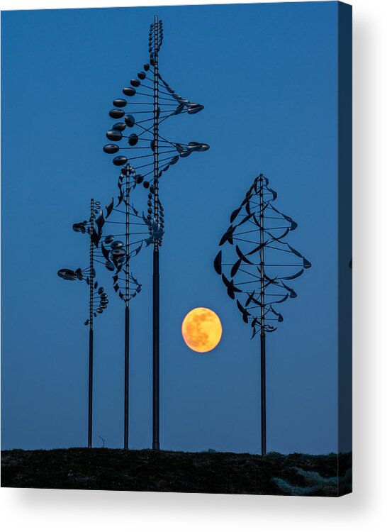 Landscape Acrylic Print featuring the photograph Wind Sculptures at Wilkeson Pointe by Chris Bordeleau