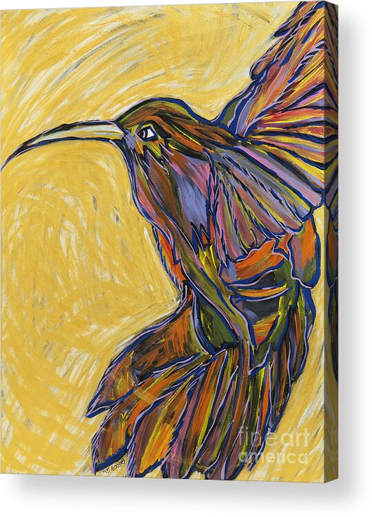 Hummingbird Acrylic Print featuring the painting Winging It by Rebecca Weeks