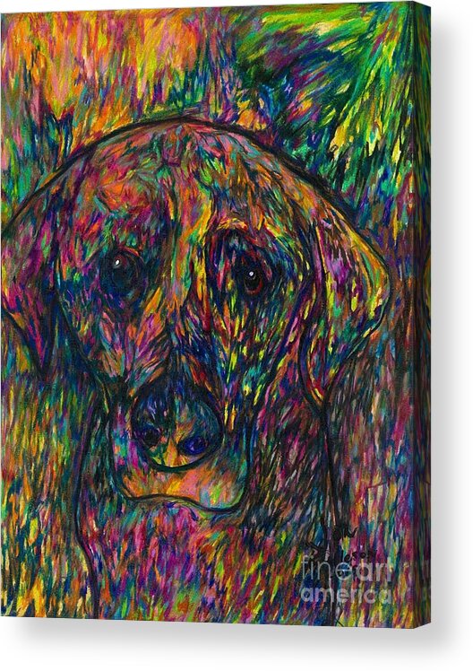 #dogs #dogsofinstagram #dog #dogstagram #puppy #doglover #dogoftheday #instadog #doglovers #doglife #pets #love #puppylove #puppies #pet #puppiesofinstagram #dogsofinsta #cute #instagram #of #petsofinstagram #dogslife #doggo #animals #ilovemydog #cats #doglove #petstagram #dogphotography #cutedogs Acrylic Print featuring the drawing Winnie the dog by Jon Kittleson