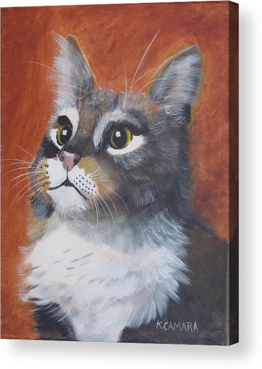 Pets Acrylic Print featuring the painting Wonder Cat by Kathie Camara