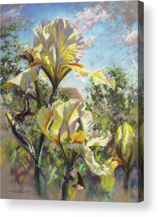 Mark Mille Acrylic Print featuring the pastel Yellow Iris by Mark Mille
