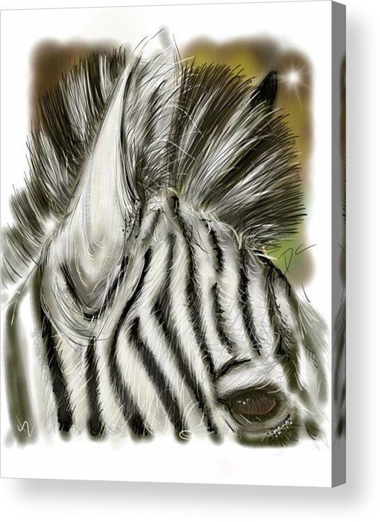 Zebra Acrylic Print featuring the digital art Zebra Digital by Darren Cannell