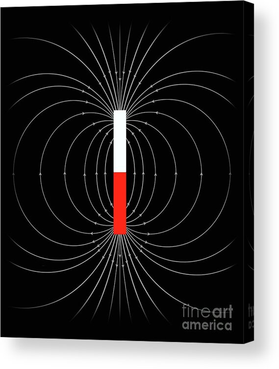 Magnetic Field Acrylic Print featuring the photograph Magnetic Field Of A Bar Magnet #1 by Mikkel Juul Jensen/science Photo Library