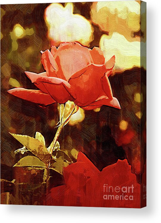 Rose Acrylic Print featuring the digital art Single Rose Bloom In Gothic by Kirt Tisdale