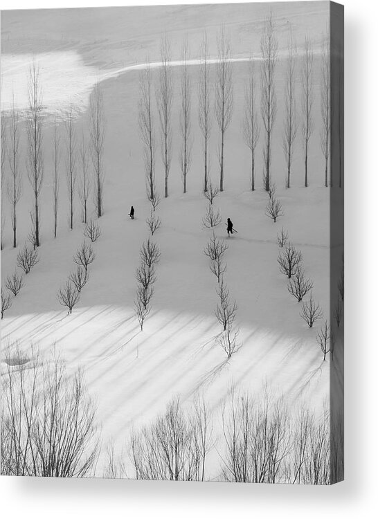 Minimalism Acrylic Print featuring the photograph Winter #1 by Mohammad Alipour