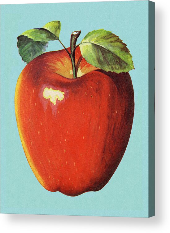 Apple Acrylic Print featuring the drawing Apple #16 by CSA Images