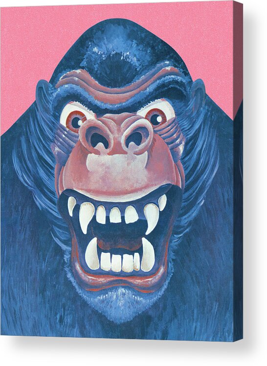 Animal Acrylic Print featuring the drawing Gorilla #2 by CSA Images
