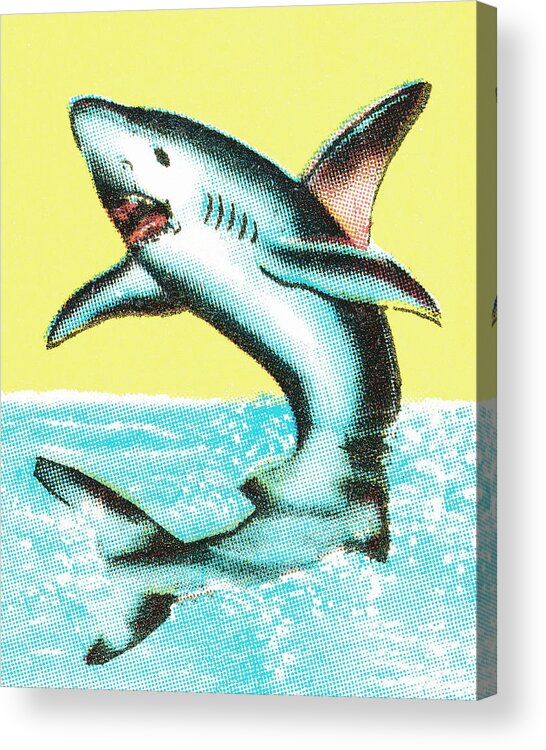 Animal Acrylic Print featuring the drawing Shark #2 by CSA Images