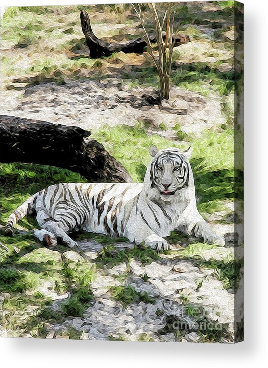 Nature Acrylic Print featuring the digital art White Tiger At Rest #2 by Kenneth Montgomery