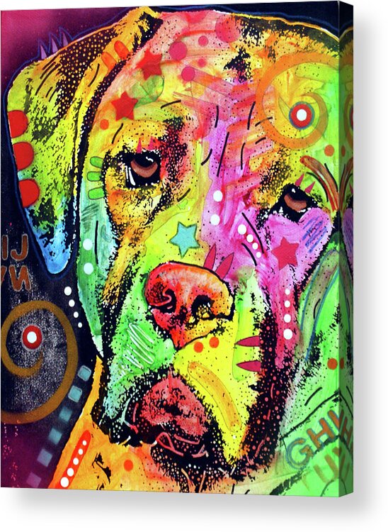 Mastiff Acrylic Print featuring the mixed media Mastiff #3 by Dean Russo