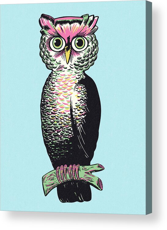 Animal Acrylic Print featuring the drawing Owl #30 by CSA Images