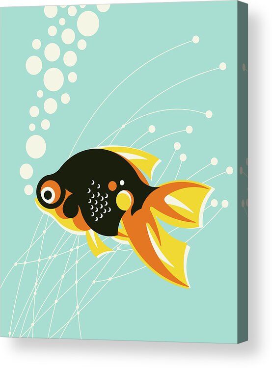 Animal Acrylic Print featuring the drawing Fish #49 by CSA Images