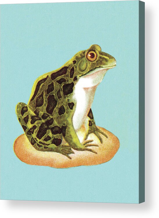 Amphibian Acrylic Print featuring the drawing Toad #6 by CSA Images