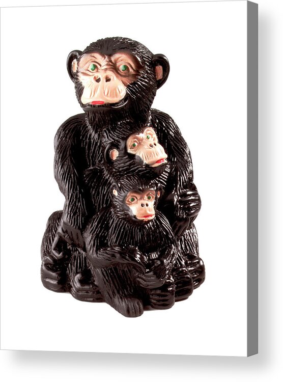 Affection Acrylic Print featuring the drawing Adult Monkey Hugging Two Baby Monkeys by CSA Images