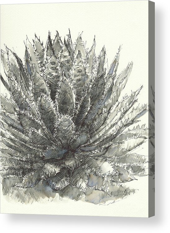 Cactus Acrylic Print featuring the painting Agave Queen by Judith Kunzle