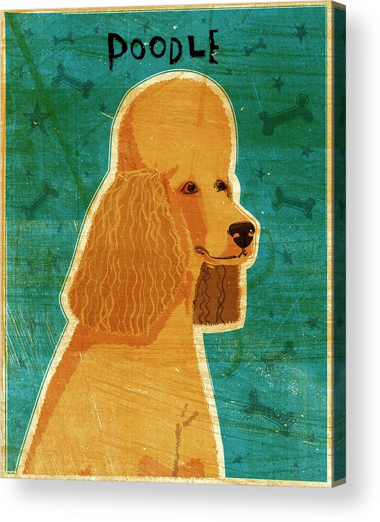 Golden-colored Poodle Acrylic Print featuring the digital art Apricot Poodle by John W. Golden