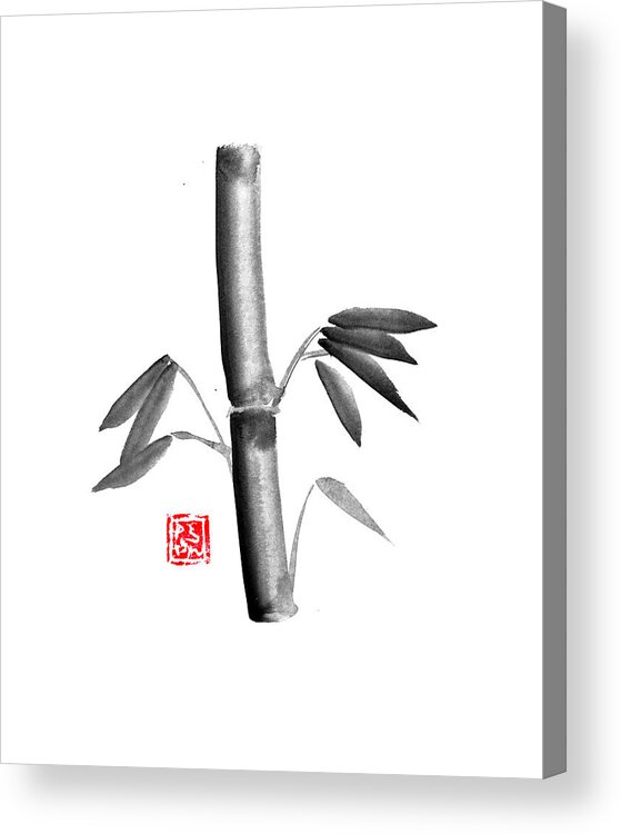 Bamboo Acrylic Print featuring the drawing Bamboo Simple by Pechane Sumie