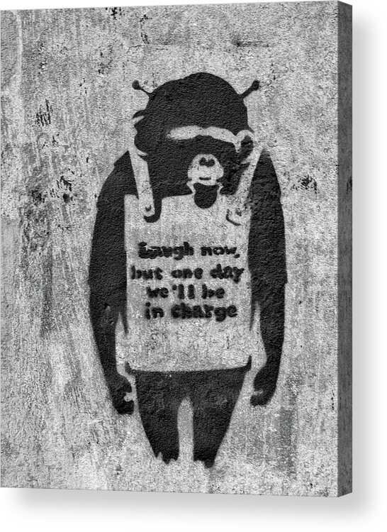 Banksy Acrylic Print featuring the photograph Banksy Chimp Laugh Now Graffiti by Gigi Ebert
