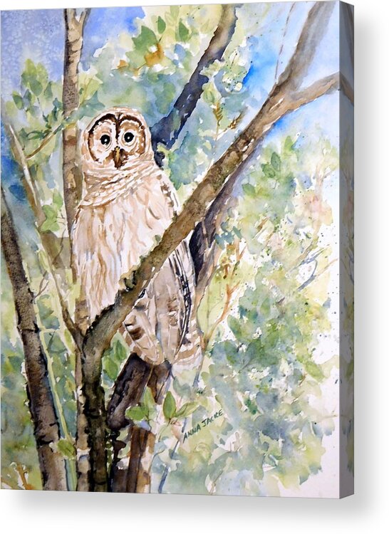 Owls Acrylic Print featuring the painting Hoot Goes There by Anna Jacke