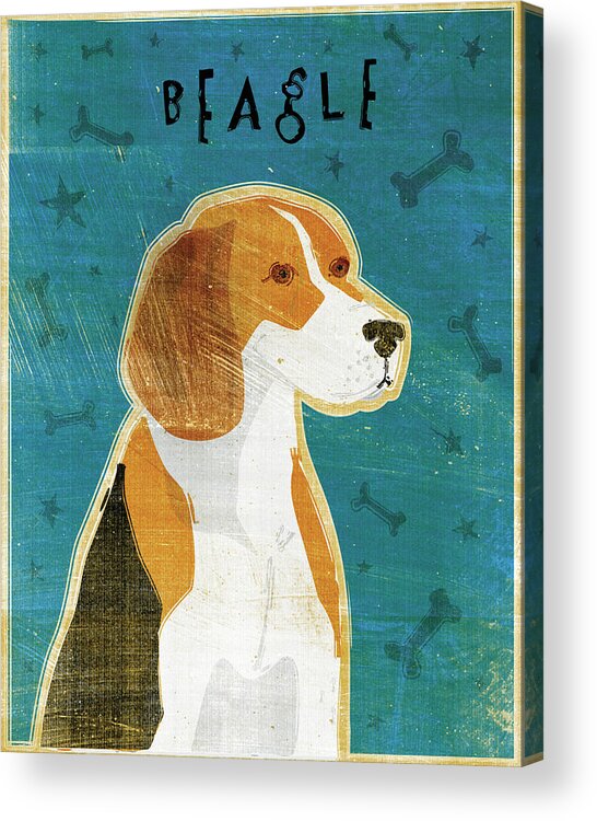 Beagle Acrylic Print featuring the digital art Beagle by John W. Golden