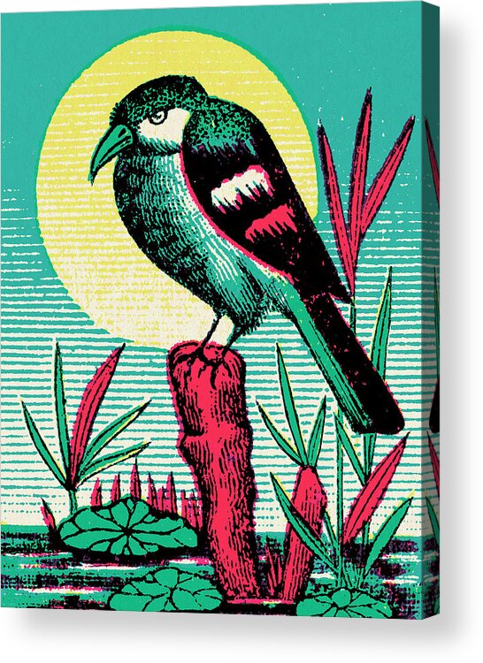 Animal Acrylic Print featuring the drawing Bird on a Post by CSA Images