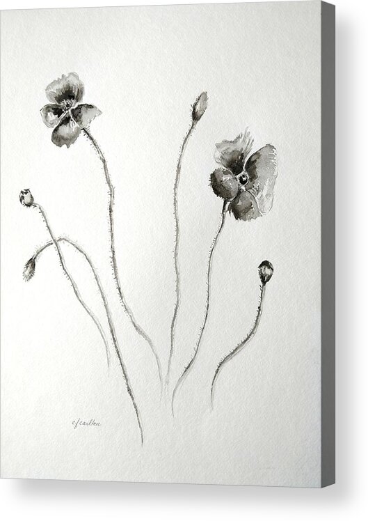 Black Acrylic Print featuring the painting Black Poppies by Claudette Carlton