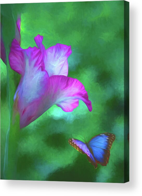 Blossom Acrylic Print featuring the photograph Blossom and Butterfly by Cathy Kovarik