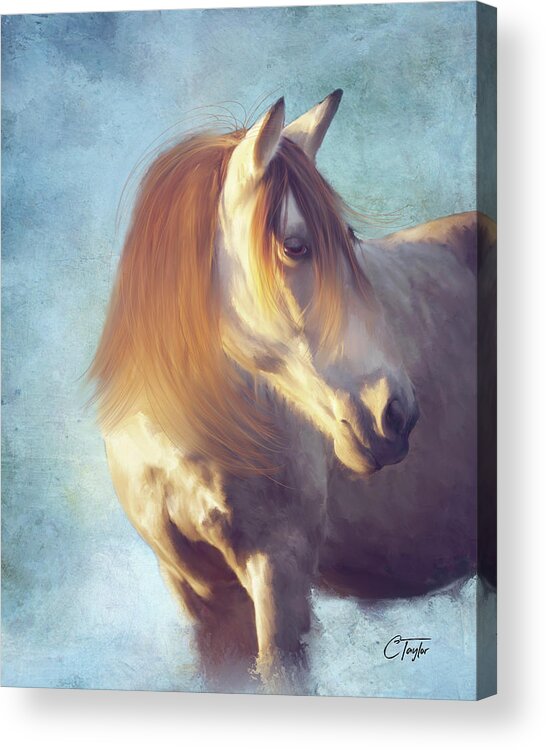 Horse Acrylic Print featuring the mixed media Blue Chip Stock by Colleen Taylor
