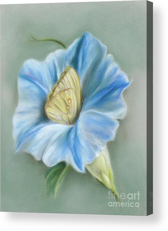 Botanical Acrylic Print featuring the painting Blue Morning Glory with Yellow Butterfly by MM Anderson