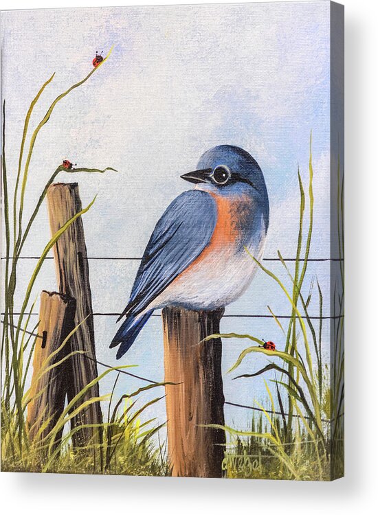 Bluebird Acrylic Print featuring the painting Bluebird by Debbi Wetzel