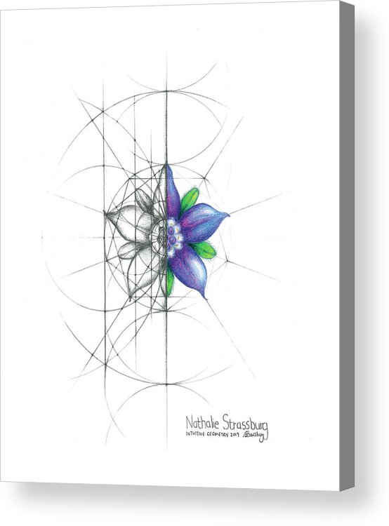 Borage Acrylic Print featuring the drawing Intuitive Geometry Borage Flower by Nathalie Strassburg